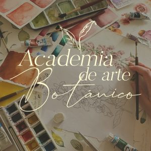Academia - plan anual